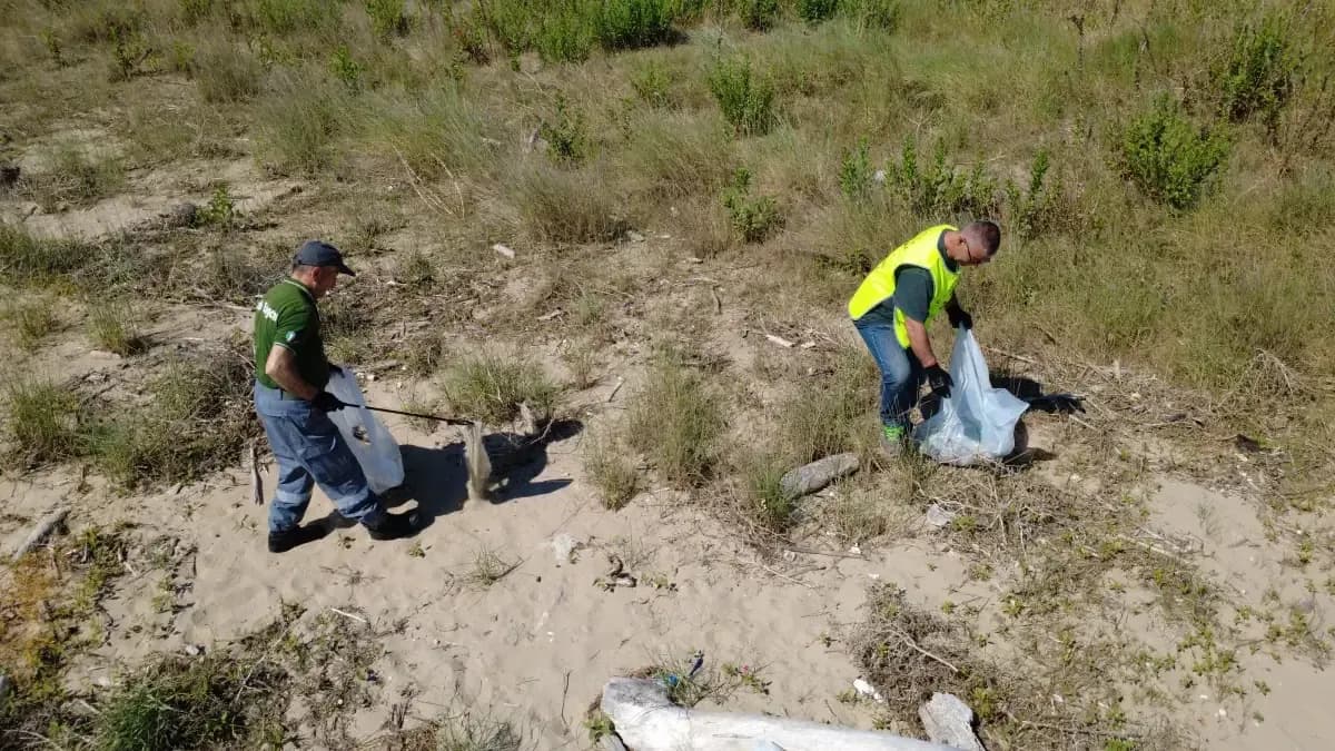 Pulizia spiaggia di termoli — foto 3 - Congeav Sezione Trivento