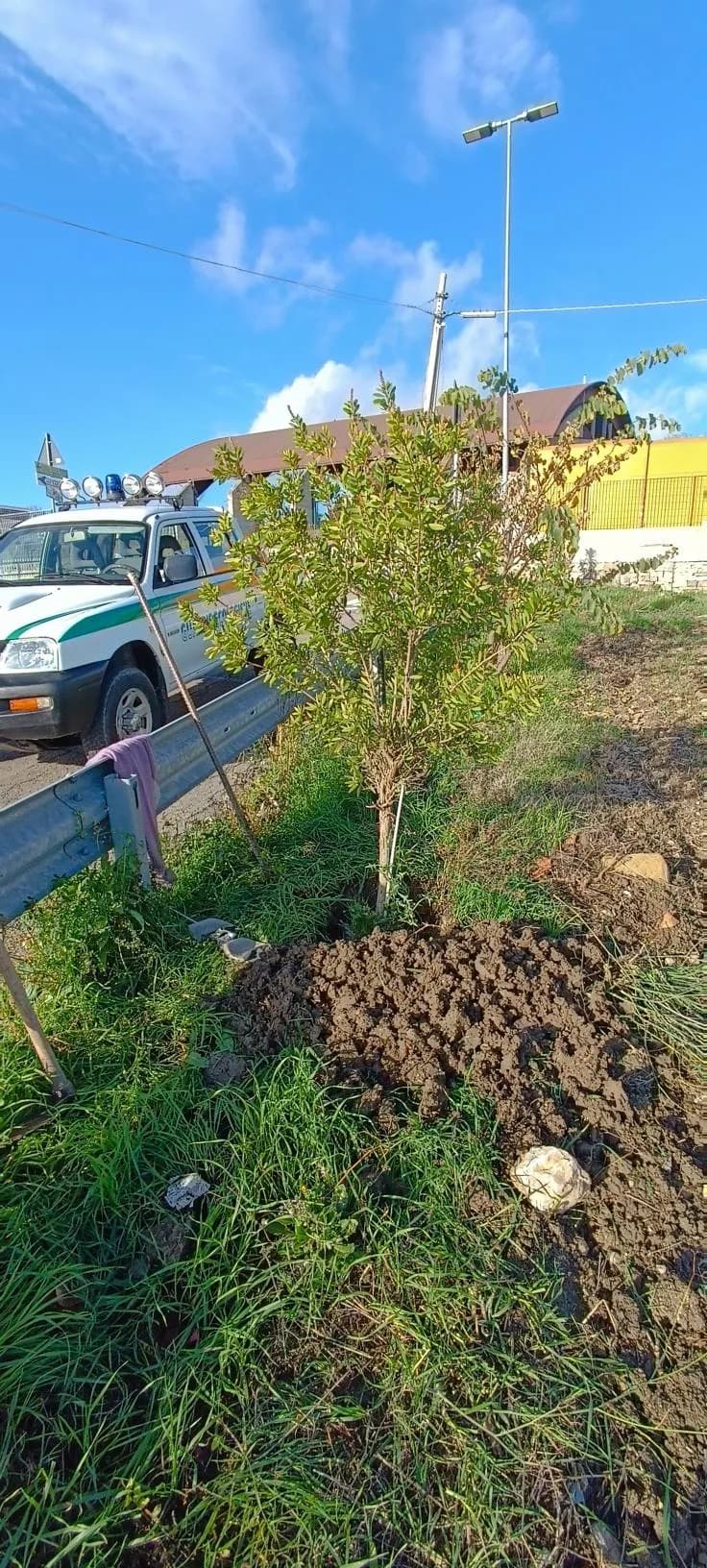 Attività Festa dell'albero - Congeav Sezione Trivento
