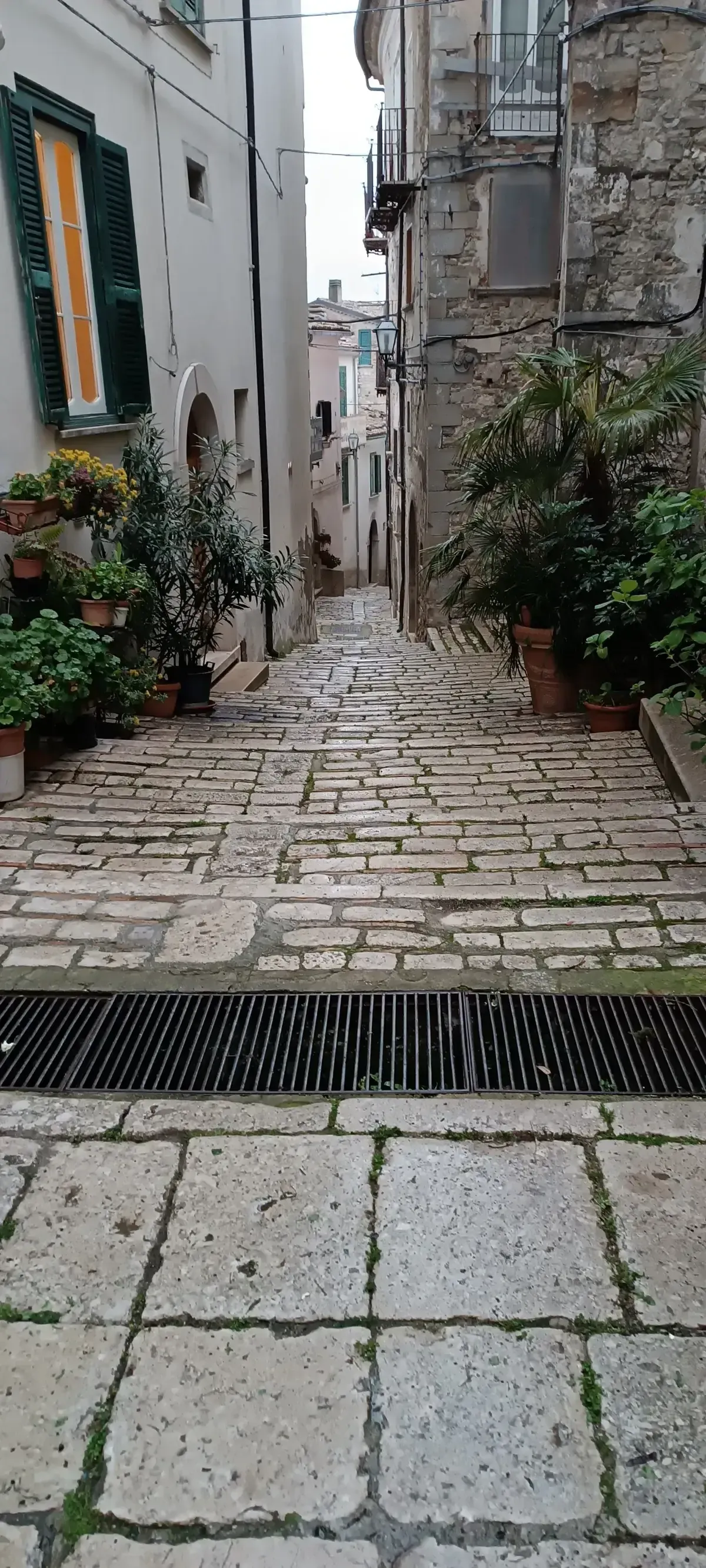 Pulizia centro storico — foto 3 - Congeav Sezione Trivento