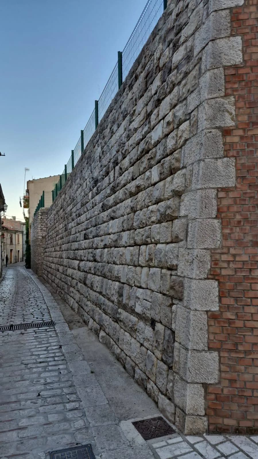 Attività Pulizia del territorio - Congeav Sezione Trivento