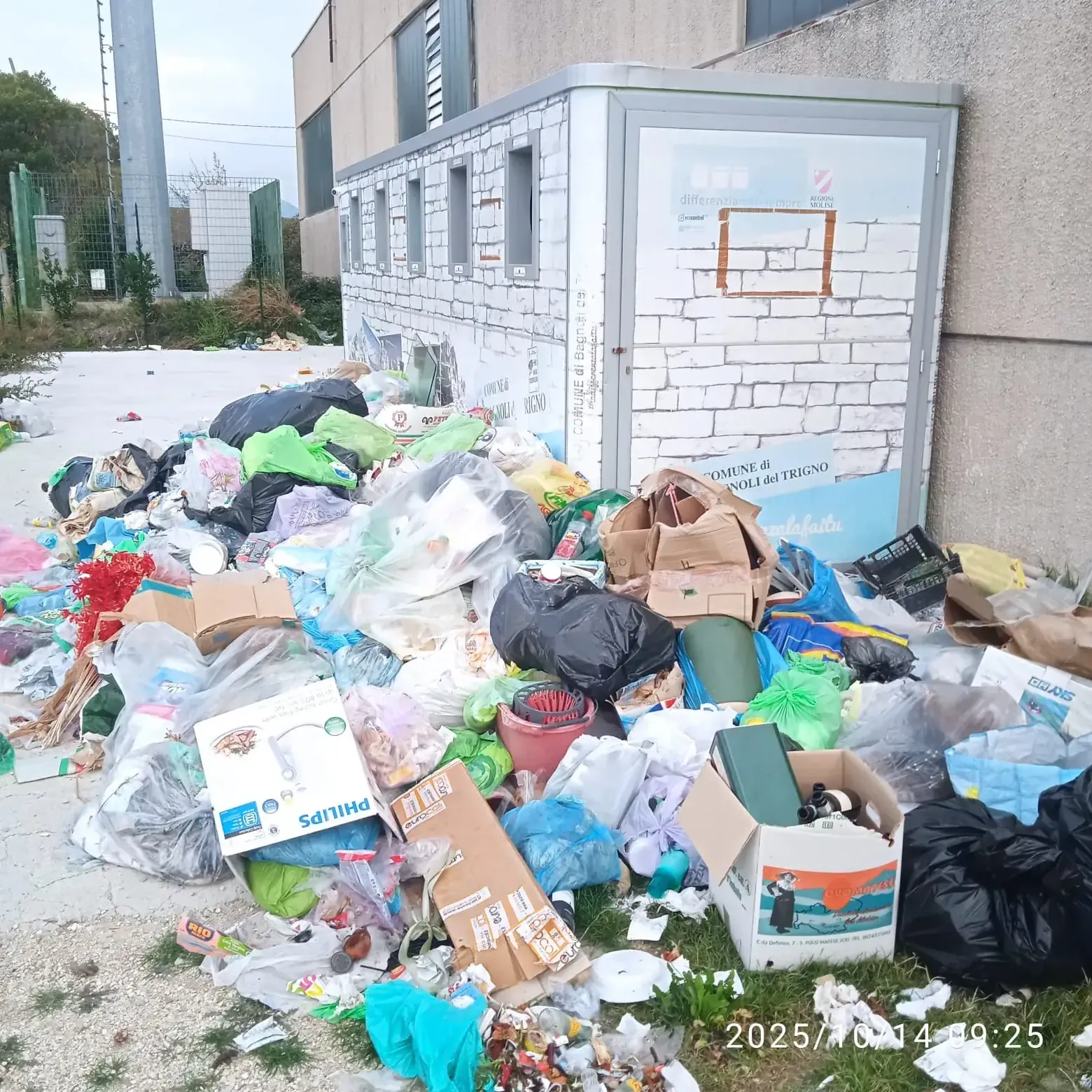 Intervento rimozione rifiuti — foto 2 - Congeav Sezione Trivento